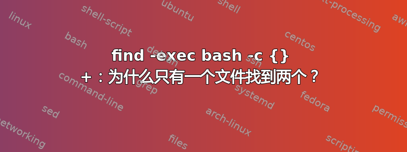 find -exec bash -c {} +：为什么只有一个文件找到两个？