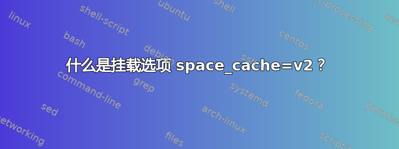 什么是挂载选项 space_cache=v2？