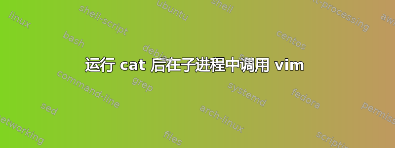 运行 cat 后在子进程中调用 vim