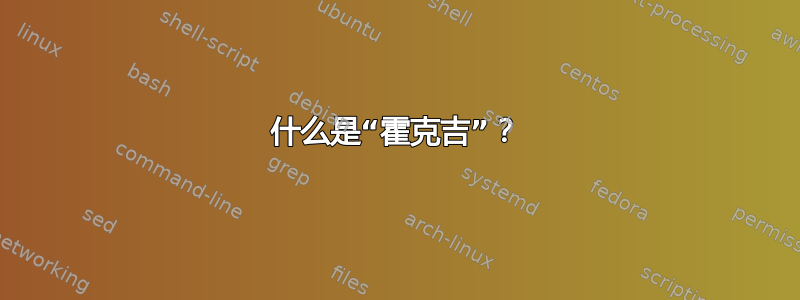 什么是“霍克吉”？