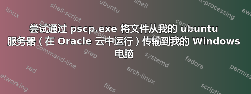 尝试通过 pscp.exe 将文件从我的 ubuntu 服务器（在 Oracle 云中运行）传输到我的 Windows 电脑