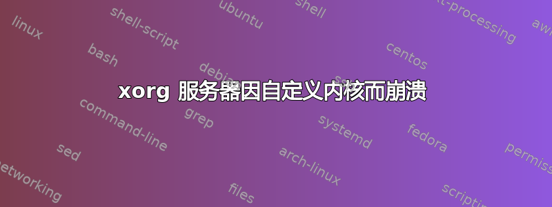 xorg 服务器因自定义内核而崩溃