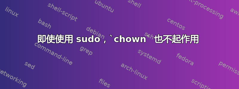 即使使用 sudo，`chown` 也不起作用