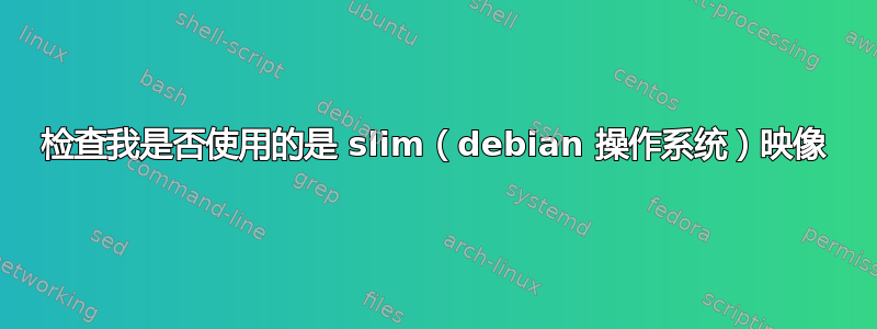 检查我是否使用的是 slim（debian 操作系统）映像