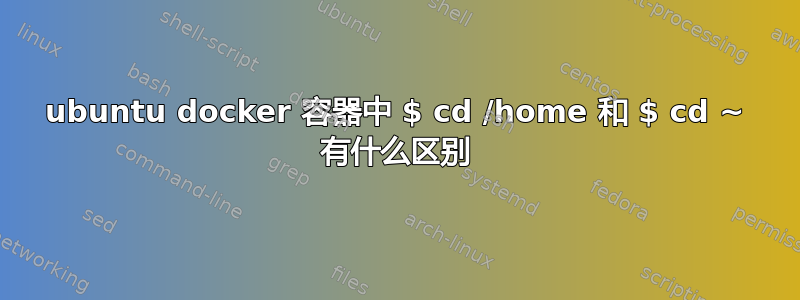 ubuntu docker 容器中 $ cd /home 和 $ cd ~ 有什么区别