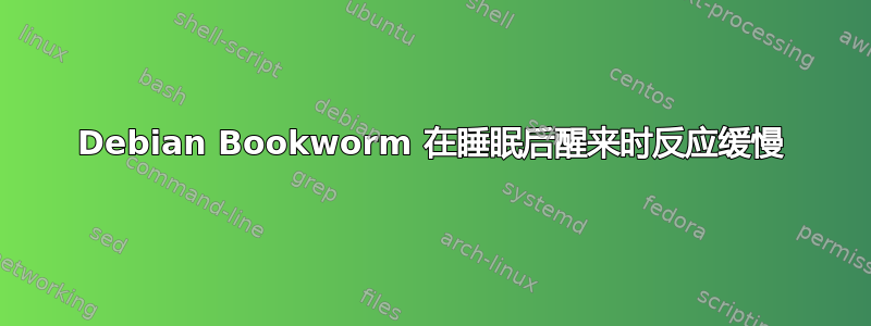 Debian Bookworm 在睡眠后醒来时反应缓慢