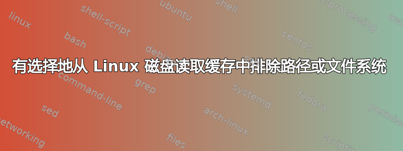 有选择地从 Linux 磁盘读取缓存中排除路径或文件系统