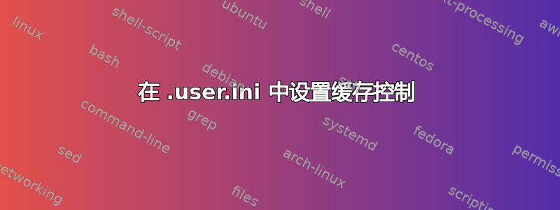 在 .user.ini 中设置缓存控制