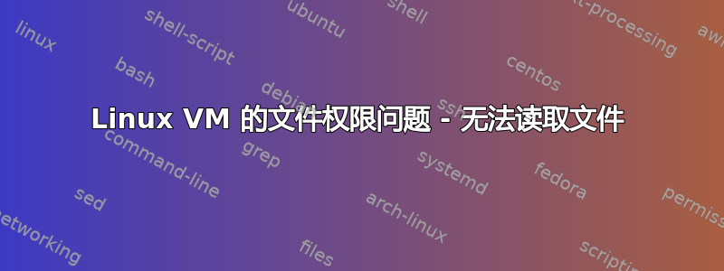 Linux VM 的文件权限问题 - 无法读取文件