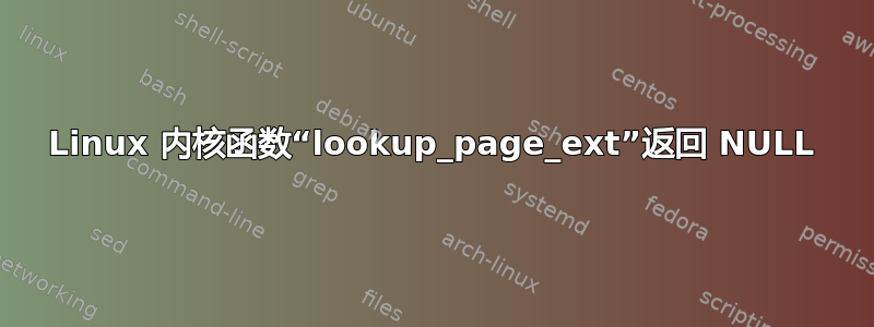 Linux 内核函数“lookup_page_ext”返回 NULL