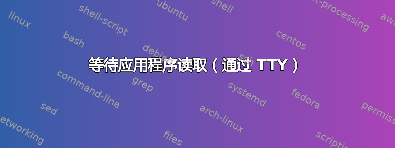 等待应用程序读取（通过 TTY）