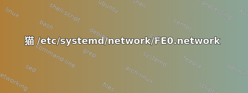 猫 /etc/systemd/network/FE0.network