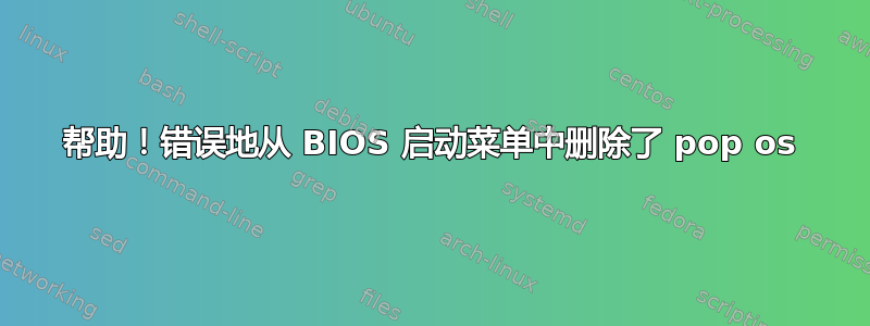 帮助！错误地从 BIOS 启动菜单中删除了 pop os