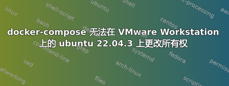 docker-compose 无法在 VMware Workstation 上的 ubuntu 22.04.3 上更改所有权