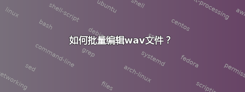 如何批量编辑wav文件？