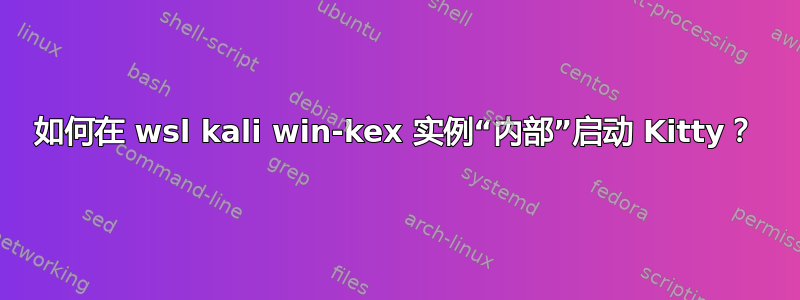 如何在 wsl kali win-kex 实例“内部”启动 Kitty？