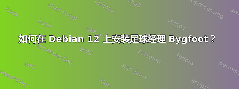 如何在 Debian 12 上安装足球经理 Bygfoot？