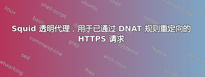 Squid 透明代理，用于已通过 DNAT 规则重定向的 HTTPS 请求