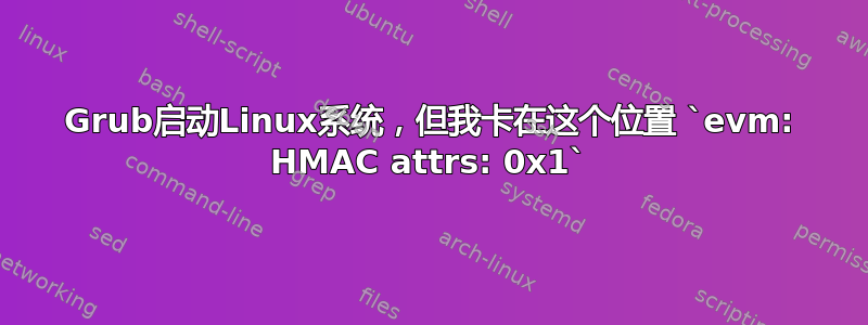 Grub启动Linux系统，但我卡在这个位置 `evm: HMAC attrs: 0x1`