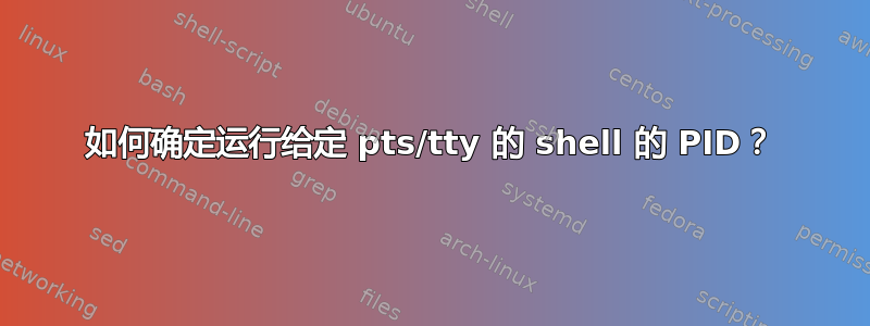 如何确定运行给定 pts/tty 的 shell 的 PID？