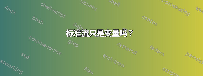 标准流只是变量吗？