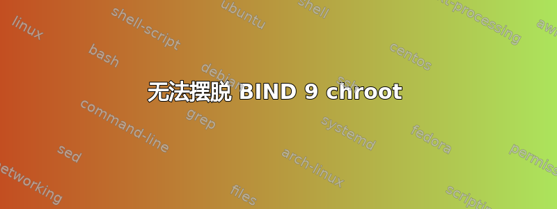 无法摆脱 BIND 9 chroot