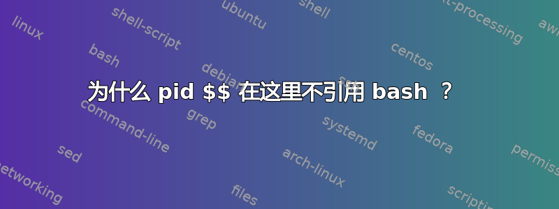 为什么 pid $$ 在这里不引用 bash ？ 