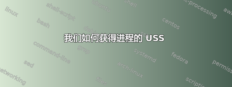 我们如何获得进程的 USS