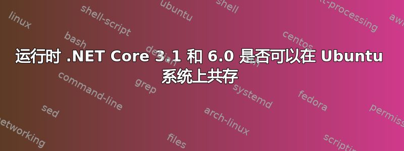 运行时 .NET Core 3.1 和 6.0 是否可以在 Ubuntu 系统上共存