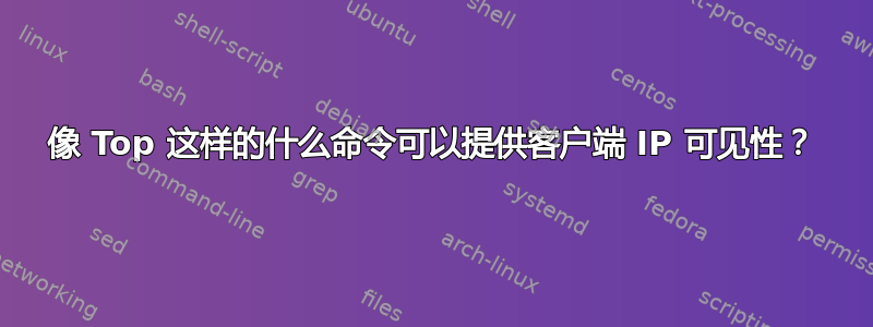 像 Top 这样的什么命令可以提供客户端 IP 可见性？