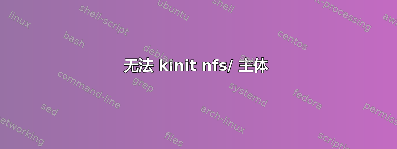 无法 kinit nfs/ 主体