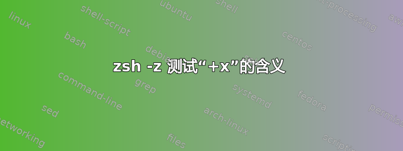 zsh -z 测试“+x”的含义