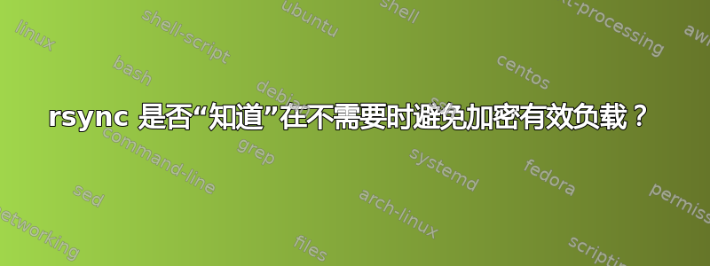 rsync 是否“知道”在不需要时避免加密有效负载？