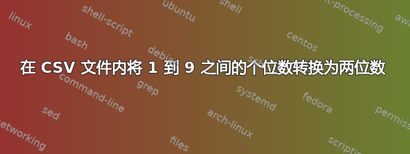 在 CSV 文件内将 1 到 9 之间的个位数转换为两位数