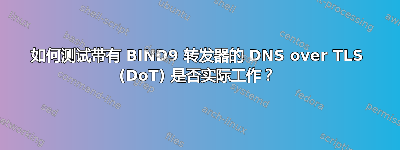 如何测试带有 BIND9 转发器的 DNS over TLS (DoT) 是否实际工作？