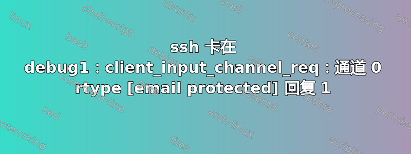 ssh 卡在 debug1：client_input_channel_req：通道 0 rtype [email protected] 回复 1