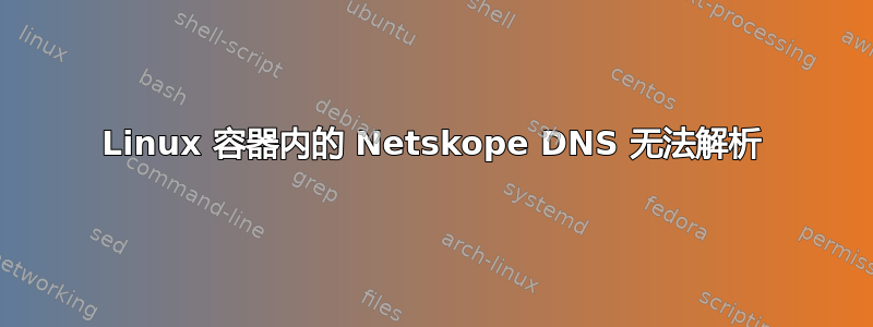 Linux 容器内的 Netskope DNS 无法解析