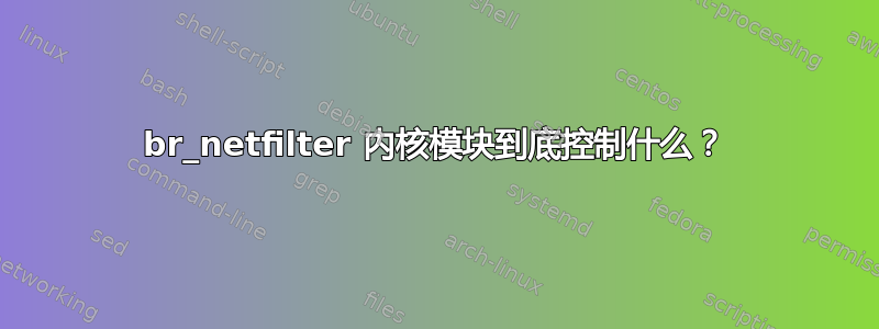 br_netfilter 内核模块到底控制什么？