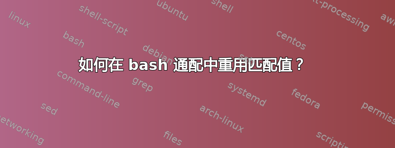 如何在 bash 通配中重用匹配值？ 