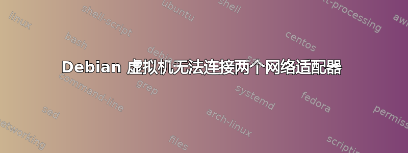 Debian 虚拟机无法连接两个网络适配器