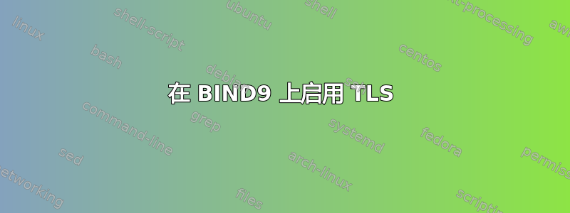 在 BIND9 上启用 TLS