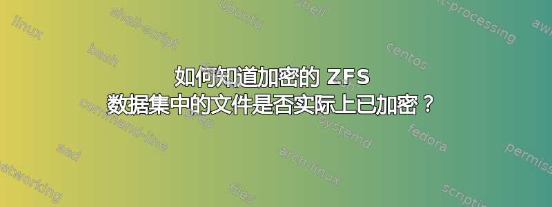 如何知道加密的 ZFS 数据集中的文件是否实际上已加密？