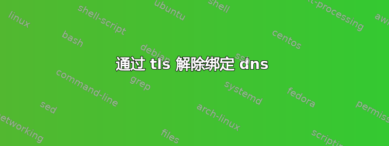 通过 tls 解除绑定 dns