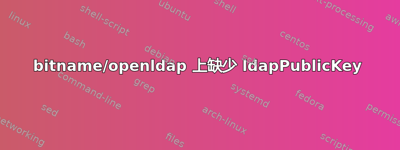 bitname/openldap 上缺少 ldapPublicKey