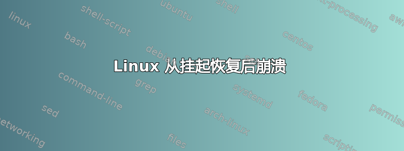 Linux 从挂起恢复后崩溃