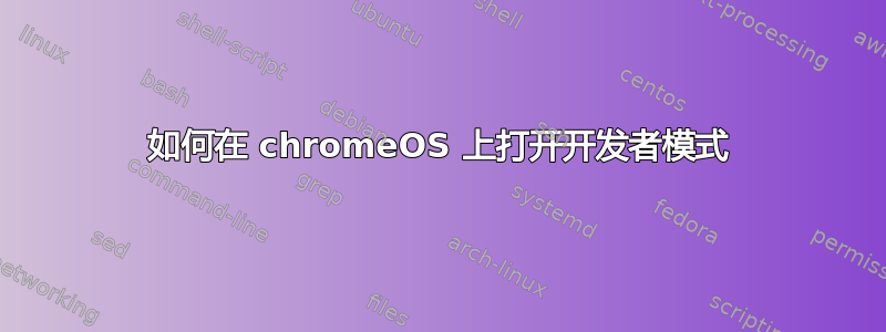 如何在 chromeOS 上打开开发者模式