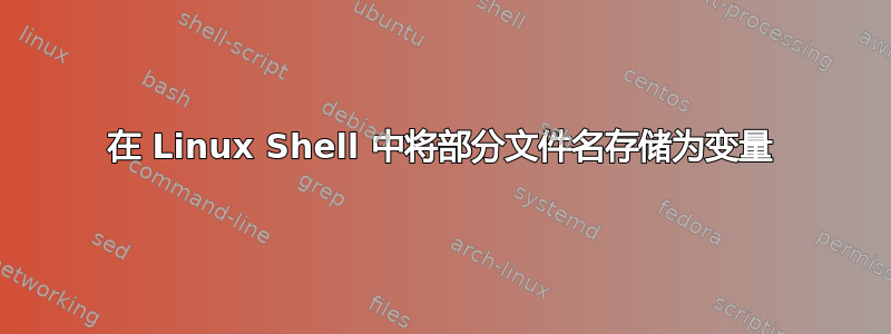 在 Linux Shell 中将部分文件名存储为变量