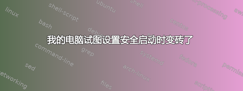 我的电脑试图设置安全启动时变砖了