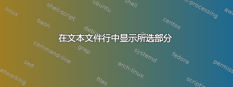 在文本文件行中显示所选部分