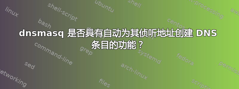 dnsmasq 是否具有自动为其侦听地址创建 DNS 条目的功能？